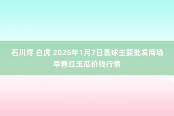 石川澪 白虎 2025年1月7日寰球主要批发商场早春红玉瓜价钱行情