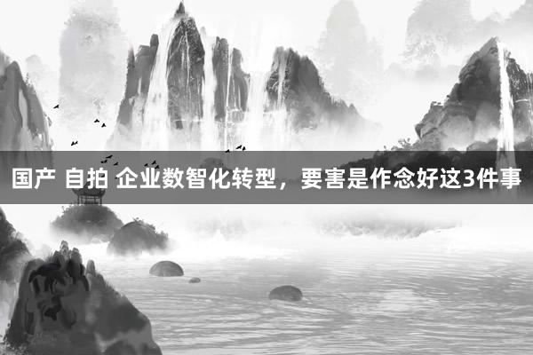 国产 自拍 企业数智化转型，要害是作念好这3件事