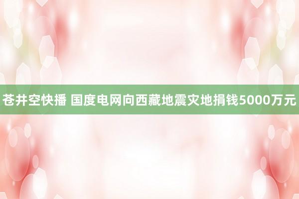 苍井空快播 国度电网向西藏地震灾地捐钱5000万元