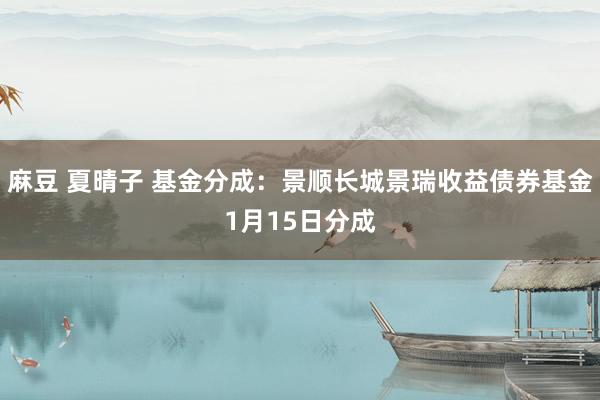 麻豆 夏晴子 基金分成：景顺长城景瑞收益债券基金1月15日分成