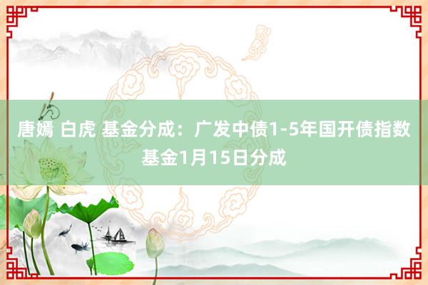 唐嫣 白虎 基金分成：广发中债1-5年国开债指数基金1月15日分成