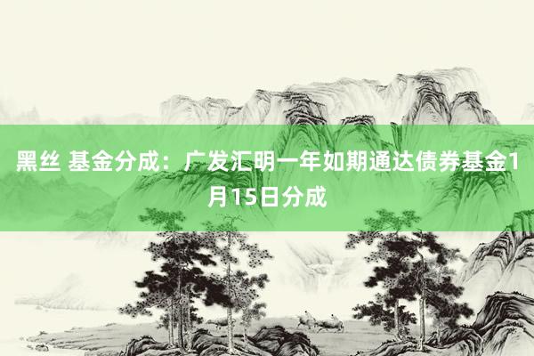 黑丝 基金分成：广发汇明一年如期通达债券基金1月15日分成