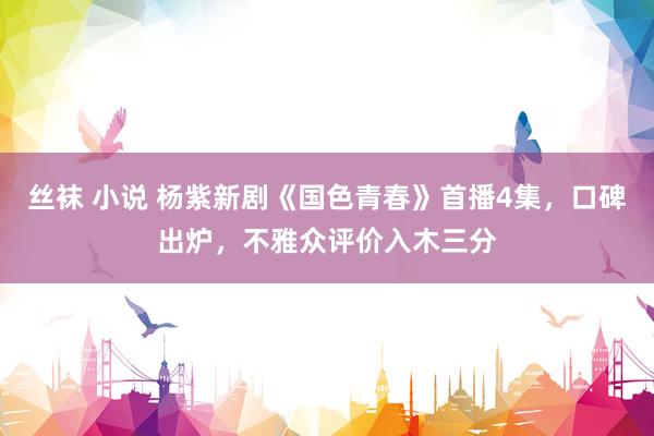 丝袜 小说 杨紫新剧《国色青春》首播4集，口碑出炉，不雅众评价入木三分