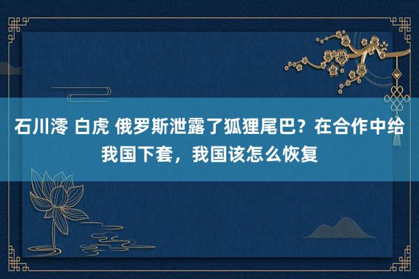 石川澪 白虎 俄罗斯泄露了狐狸尾巴？在合作中给我国下套，我国该怎么恢复