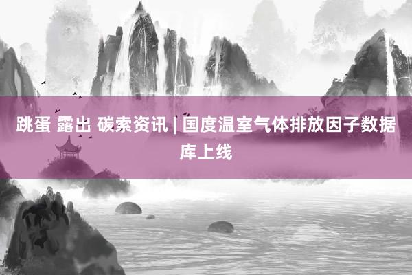 跳蛋 露出 碳索资讯 | 国度温室气体排放因子数据库上线