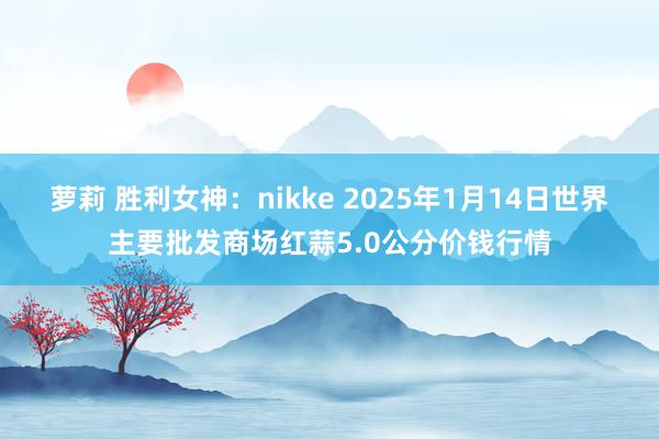 萝莉 胜利女神：nikke 2025年1月14日世界主要批发商场红蒜5.0公分价钱行情