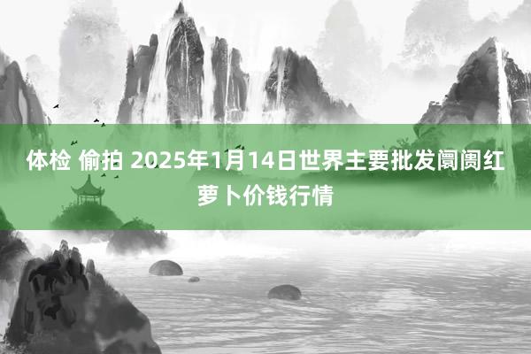 体检 偷拍 2025年1月14日世界主要批发阛阓红萝卜价钱行情