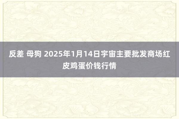 反差 母狗 2025年1月14日宇宙主要批发商场红皮鸡蛋价钱行情