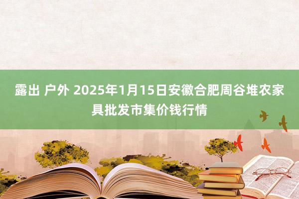 露出 户外 2025年1月15日安徽合肥周谷堆农家具批发市集价钱行情