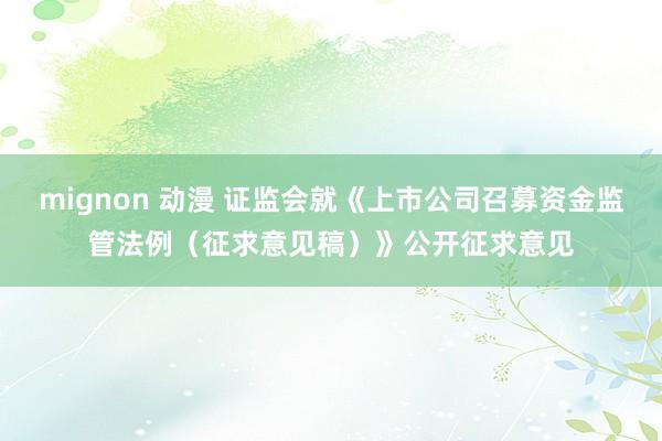 mignon 动漫 证监会就《上市公司召募资金监管法例（征求意见稿）》公开征求意见