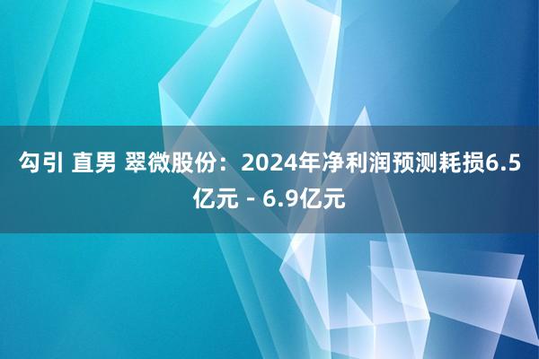 勾引 直男 翠微股份：2024年净利润预测耗损6.5亿元－6.9亿元
