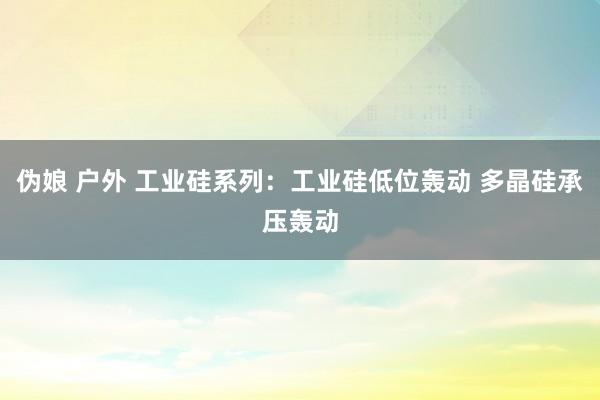 伪娘 户外 工业硅系列：工业硅低位轰动 多晶硅承压轰动
