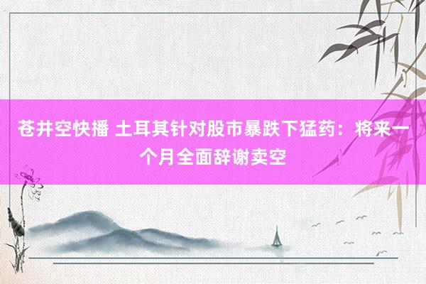 苍井空快播 土耳其针对股市暴跌下猛药：将来一个月全面辞谢卖空