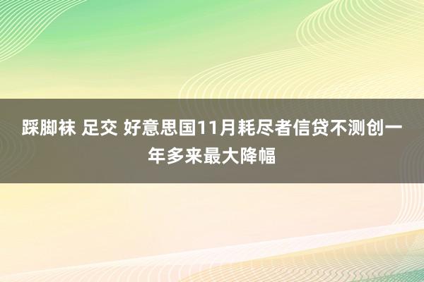 踩脚袜 足交 好意思国11月耗尽者信贷不测创一年多来最大降幅
