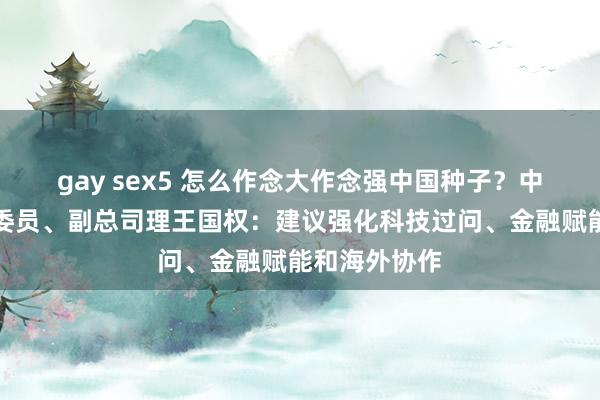 gay sex5 怎么作念大作念强中国种子？中信集团党委委员、副总司理王国权：建议强化科技过问、金融赋能和海外协作