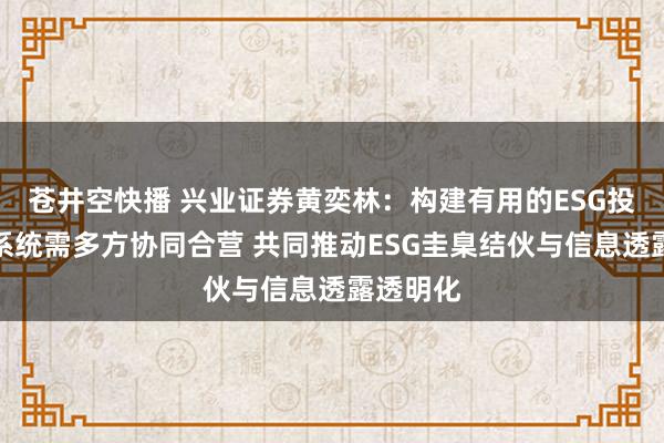 苍井空快播 兴业证券黄奕林：构建有用的ESG投资生态系统需多方协同合营 共同推动ESG圭臬结伙与信息透露透明化