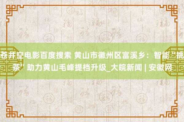 苍井空电影百度搜索 黄山市徽州区富溪乡：智能“挑茶”助力黄山毛峰提档升级_大皖新闻 | 安徽网