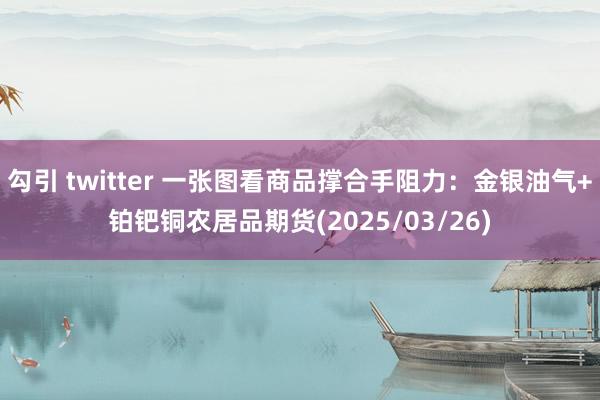 勾引 twitter 一张图看商品撑合手阻力：金银油气+铂钯铜农居品期货(2025/03/26)