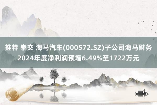 推特 拳交 海马汽车(000572.SZ)子公司海马财务2024年度净利润预增6.49%至1722万元