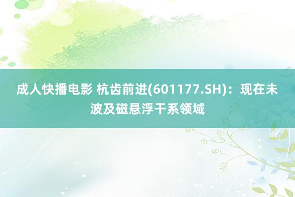 成人快播电影 杭齿前进(601177.SH)：现在未波及磁悬浮干系领域