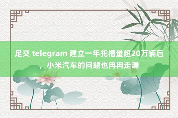 足交 telegram 建立一年托福量超20万辆后，小米汽车的问题也冉冉走漏