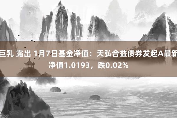 巨乳 露出 1月7日基金净值：天弘合益债券发起A最新净值1.0193，跌0.02%