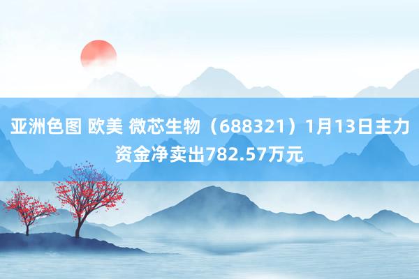 亚洲色图 欧美 微芯生物（688321）1月13日主力资金净卖出782.57万元