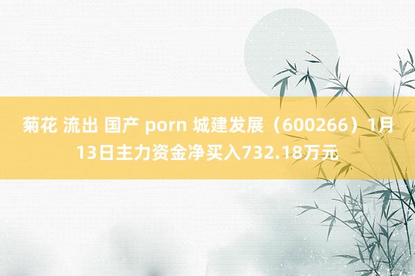 菊花 流出 国产 porn 城建发展（600266）1月13日主力资金净买入732.18万元