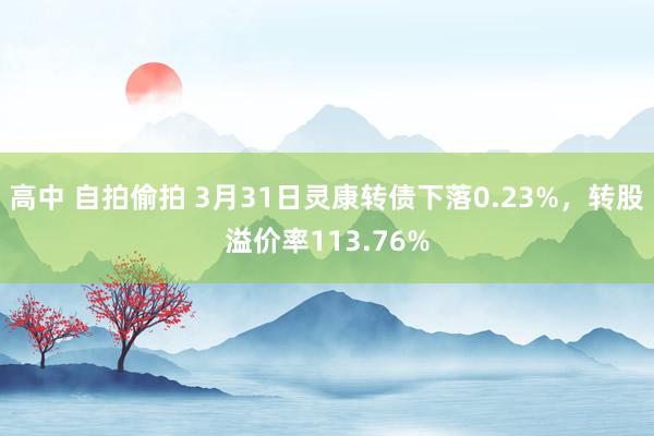 高中 自拍偷拍 3月31日灵康转债下落0.23%,转股溢价率113.76%