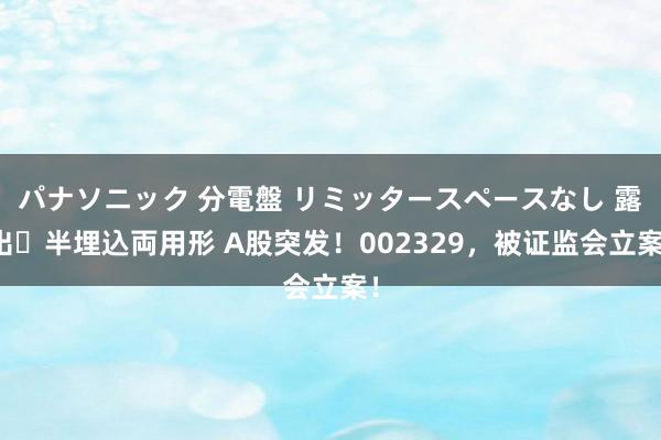 パナソニック 分電盤 リミッタースペースなし 露出・半埋込両用形 A股突发！002329，被证监会立案！