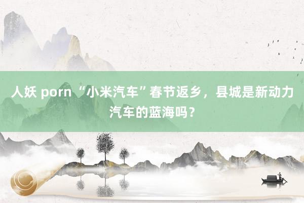 人妖 porn “小米汽车”春节返乡，县城是新动力汽车的蓝海吗？