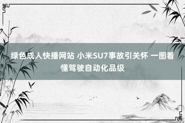 绿色成人快播网站 小米SU7事故引关怀 一图看懂驾驶自动化品级