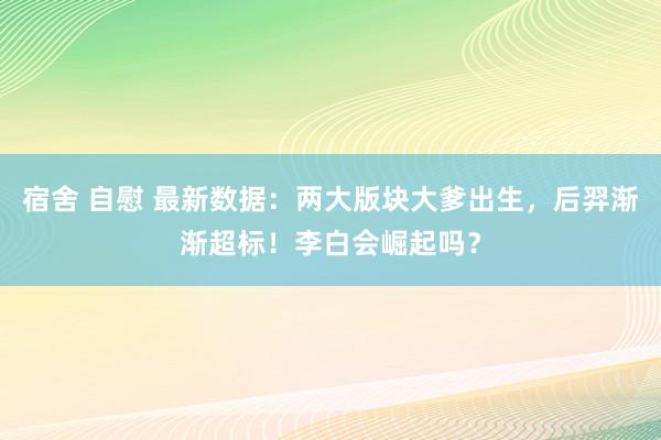 宿舍 自慰 最新数据：两大版块大爹出生，后羿渐渐超标！李白会崛起吗？