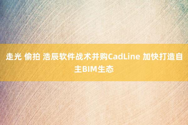 走光 偷拍 浩辰软件战术并购CadLine 加快打造自主BIM生态