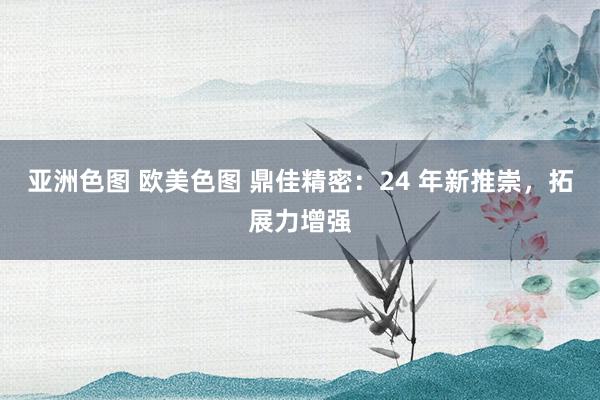 亚洲色图 欧美色图 鼎佳精密：24 年新推崇，拓展力增强