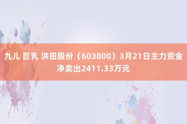 九儿 巨乳 洪田股份（603800）3月21日主力资金净卖出2411.33万元