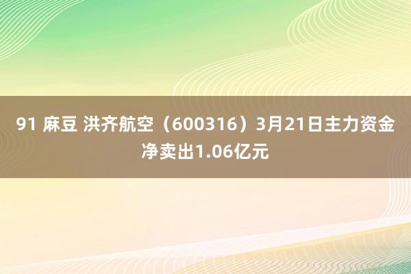 91 麻豆 洪齐航空（600316）3月21日主力资金净卖出1.06亿元