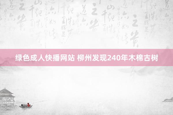 绿色成人快播网站 柳州发现240年木棉古树