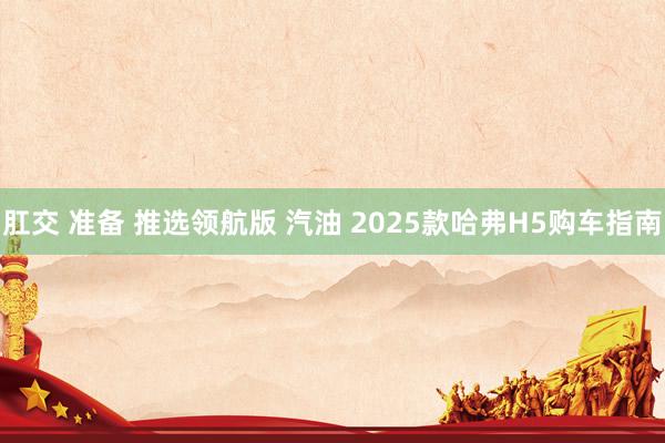 肛交 准备 推选领航版 汽油 2025款哈弗H5购车指南