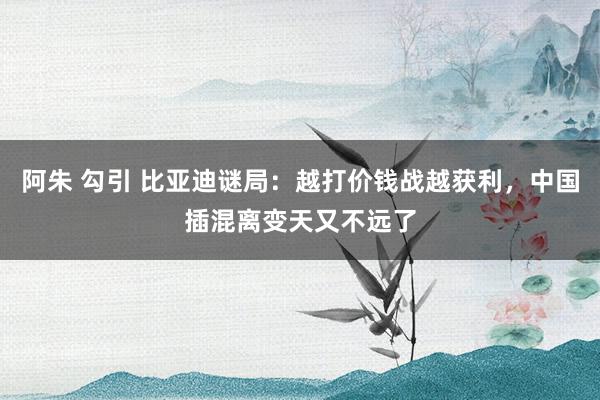阿朱 勾引 比亚迪谜局：越打价钱战越获利，中国插混离变天又不远了
