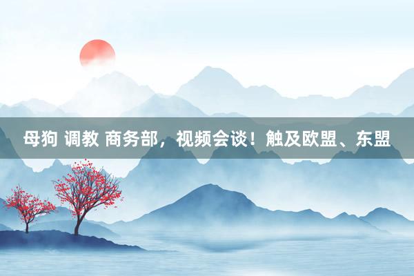 母狗 调教 商务部，视频会谈！触及欧盟、东盟