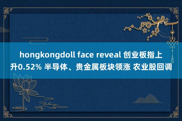 hongkongdoll face reveal 创业板指上升0.52% 半导体、贵金属板块领涨 农业股回调