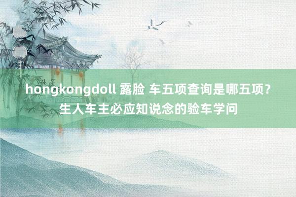 hongkongdoll 露脸 车五项查询是哪五项？生人车主必应知说念的验车学问