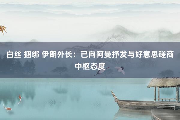 白丝 捆绑 伊朗外长：已向阿曼抒发与好意思磋商中枢态度