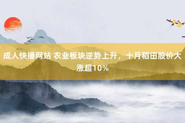 成人快播网站 农业板块逆势上升，十月稻田股价大涨超10%