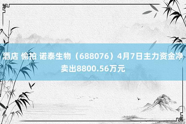 酒店 偷拍 诺泰生物（688076）4月7日主力资金净卖出8800.56万元