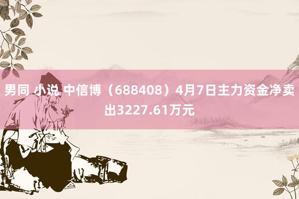 男同 小说 中信博（688408）4月7日主力资金净卖出3227.61万元