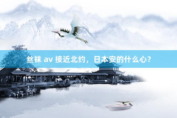 丝袜 av 接近北约，日本安的什么心？