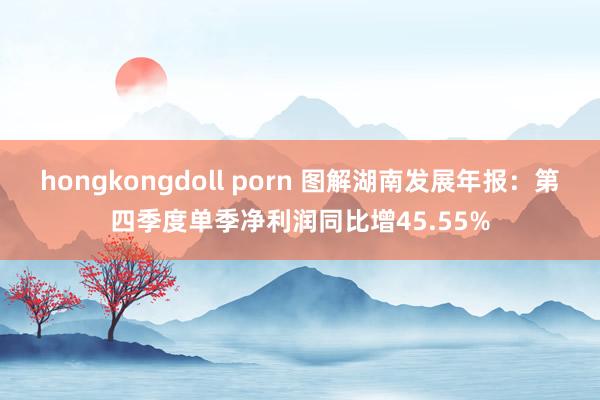 hongkongdoll porn 图解湖南发展年报：第四季度单季净利润同比增45.55%