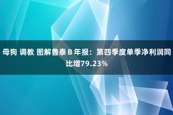 母狗 调教 图解鲁泰Ｂ年报：第四季度单季净利润同比增79.23%